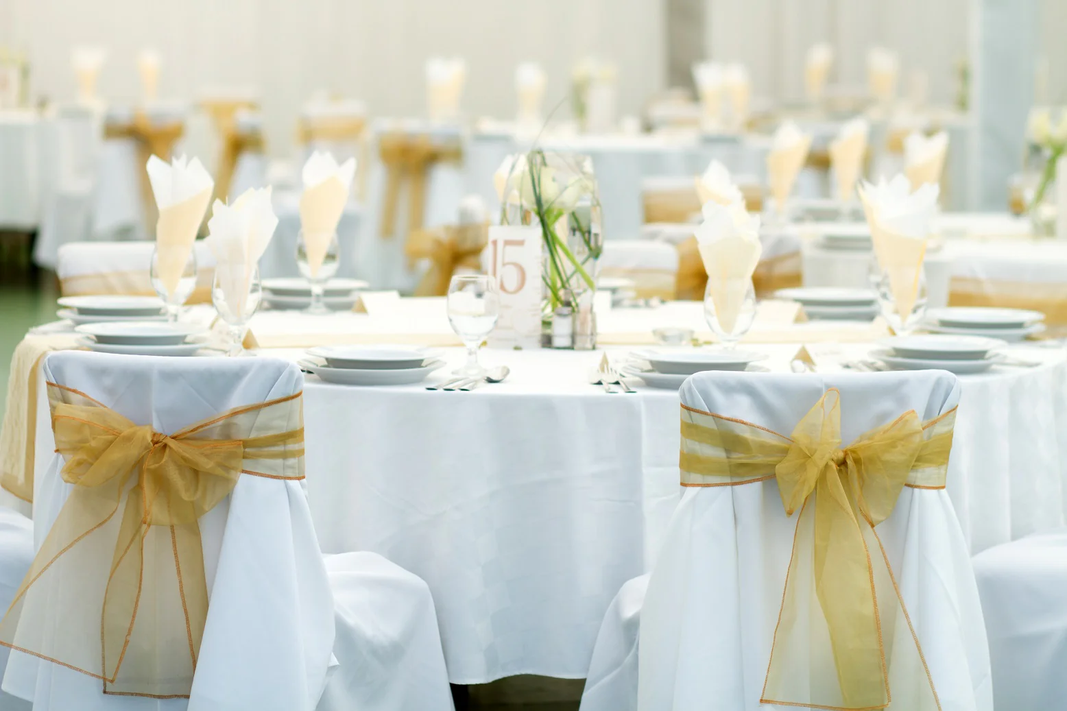 choose the perfect chair sashes